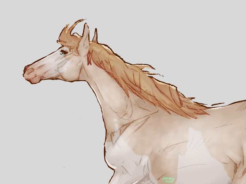 neigh - minimal shading halfbody
